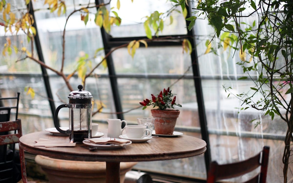 Café Terra